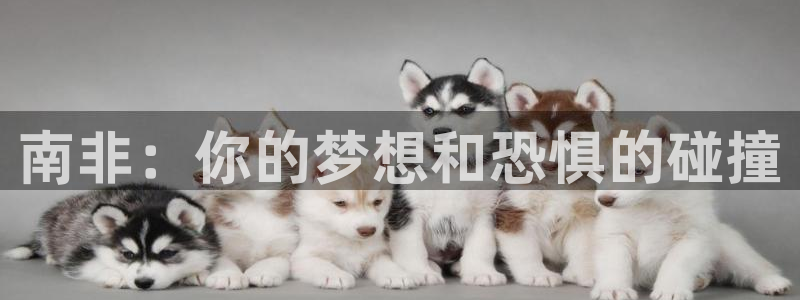 免费足球比赛直播高清：南非：你的梦想和恐惧的碰撞