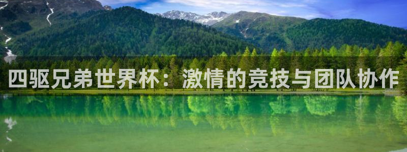 2026世界杯买球：四驱兄弟世界杯：激情的竞技与团队协作