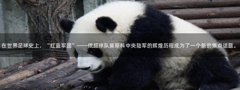 世界杯预选赛欧洲赛区赛程：在世界足球史上，“红蓝军团”——俄超球队莫斯科中央陆军的辉煌历程成为了一个新的焦点话题。