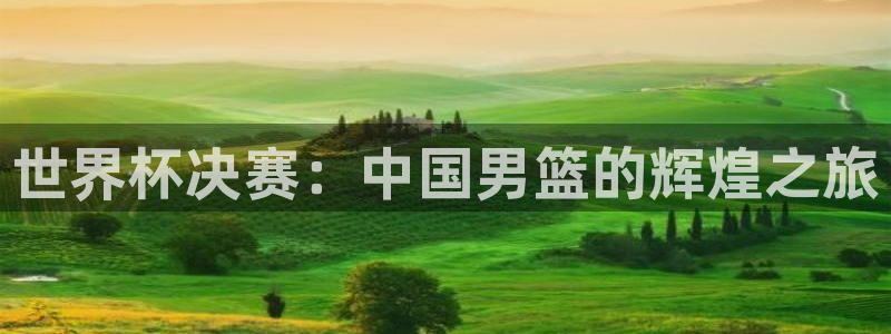 世界杯欧洲区预选赛赛程：世界杯决赛：中国男篮的辉煌之旅