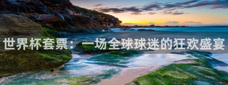 2026世界杯亚洲区预选赛赛程：世界杯套票：一场全球球迷的狂欢盛宴