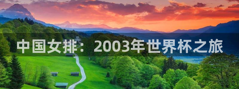 法国杯2026赛程表：中国女排：2003年世界杯之旅