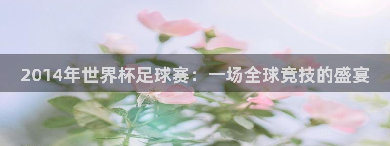 世界杯足球：2014年世界杯足球赛：一场全球竞技的盛宴