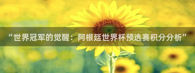 世界杯欧洲预选赛：“世界冠军的觉醒：阿根廷世界杯预选赛积分分析”
