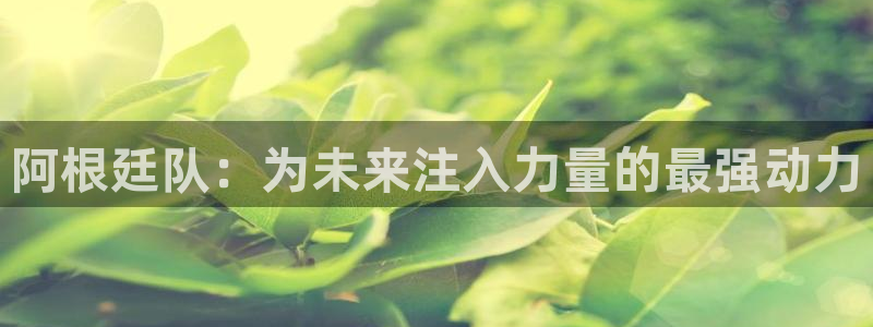 2026男足世界杯赛程：阿根廷队：为未来注入力量的最强动力