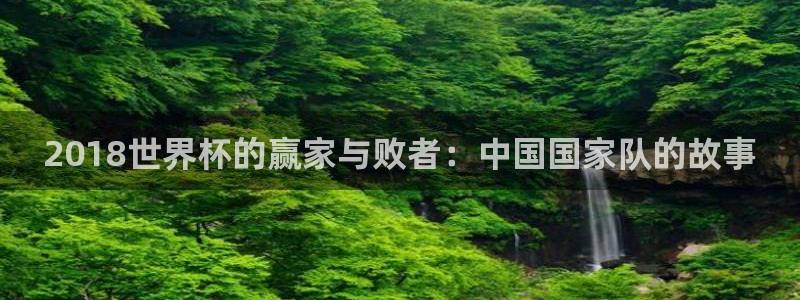 亚洲杯足球:2018世界杯的赢家与败者:中国国家队的故事