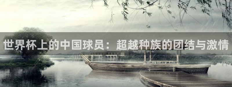 世界杯亚洲区预选赛赛程：世界杯上的中国球员：超越种族的团结与激情