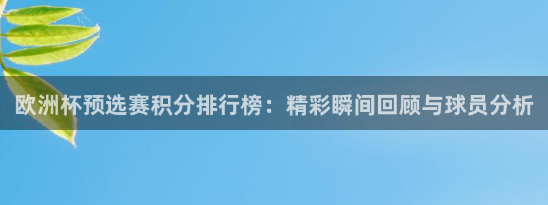 世界杯决赛圈球队：欧洲杯预选赛积分排行榜：精彩瞬间回顾与球员分析