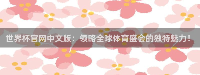 2026世界杯赛程：世界杯官网中文版：领略全球体育盛会的独特魅力！