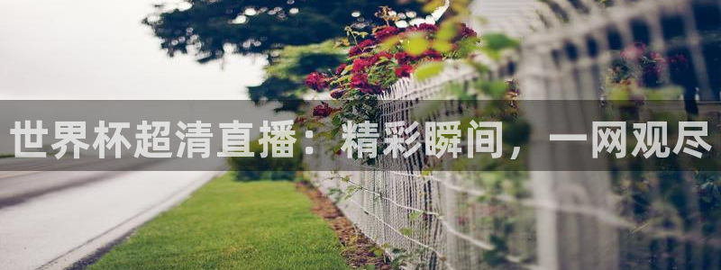世界杯比赛赛程：世界杯超清直播：精彩瞬间，一网观尽